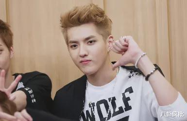 娱乐圈吃瓜任豪是谁,娱乐圈吃瓜达人,揭秘明星幕后故事